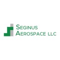  Seginus logo